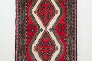 3x10.5 Persian Rug | GHADIR