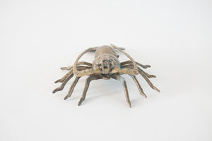 Brass Crayfish