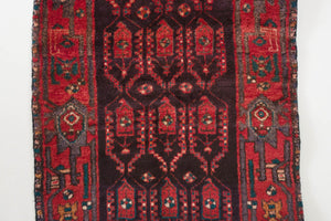 3x9 Persian Rug | ROYIN