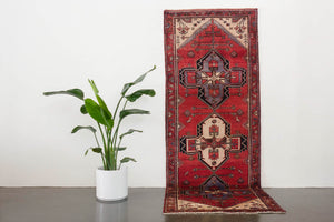 3.5x9.5 Persian Zanjan Rug | SADRI