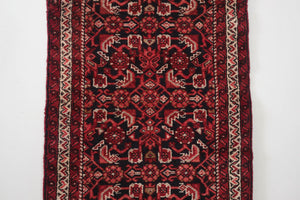 2.5x13.5 Persian Rug | SAED