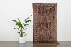 4x9 Persian Afshar Rug | RASTIN