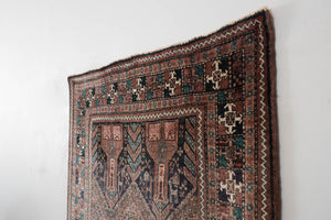 4x9 Persian Afshar Rug | RASTIN