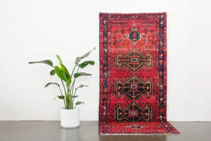 4x9 Persian Rug | NUYAN