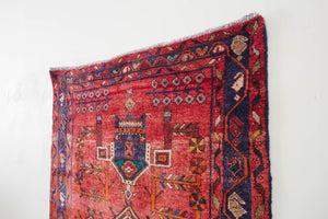 4x9 Persian Rug | NUYAN