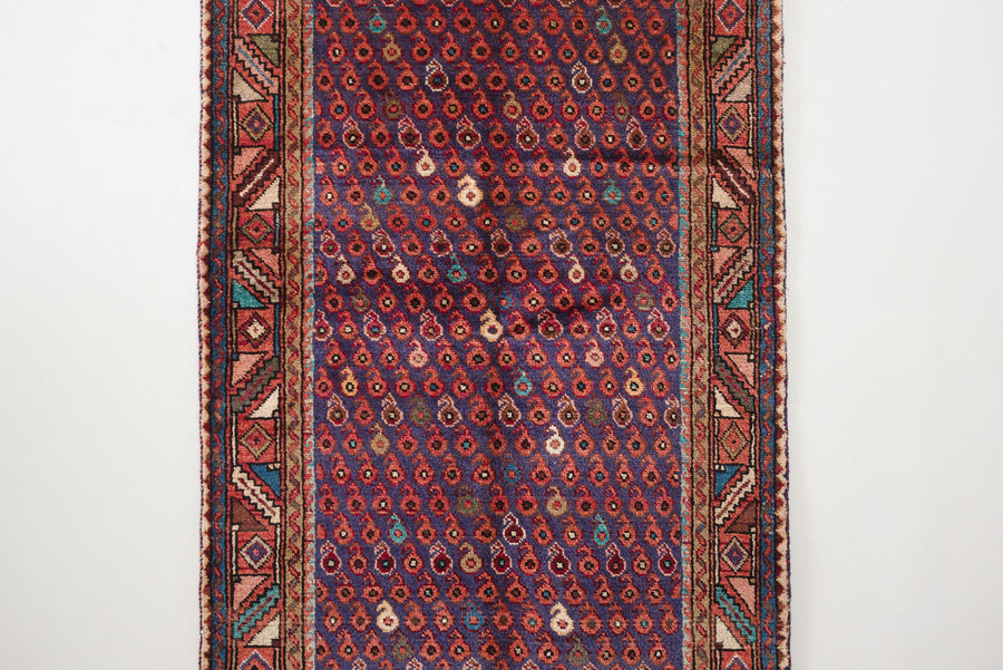 3.5x10 Persian Rug | RAHZAD