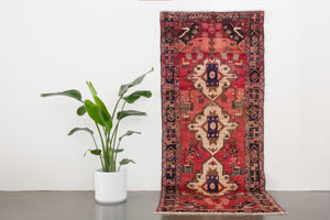 4x9 Persian Rug | RAJI