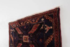 4x7.5 Persian Rug | RAZBAN