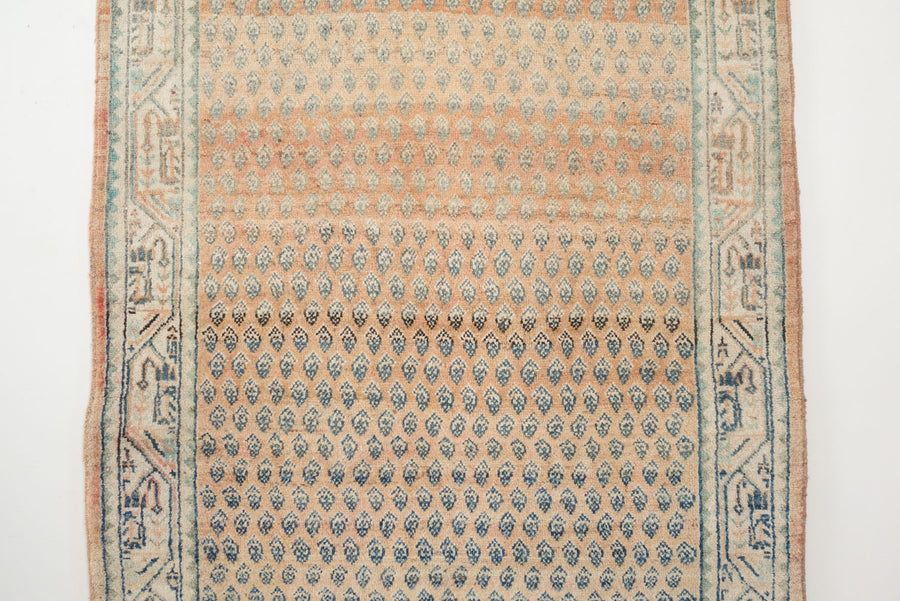 4x7 Persian Rug | NAVEED