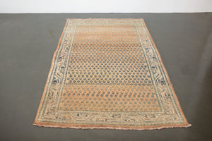 4x7 Persian Rug | NAVEED