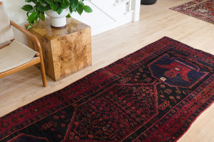 4x10 Persian Rug | PEJMAN