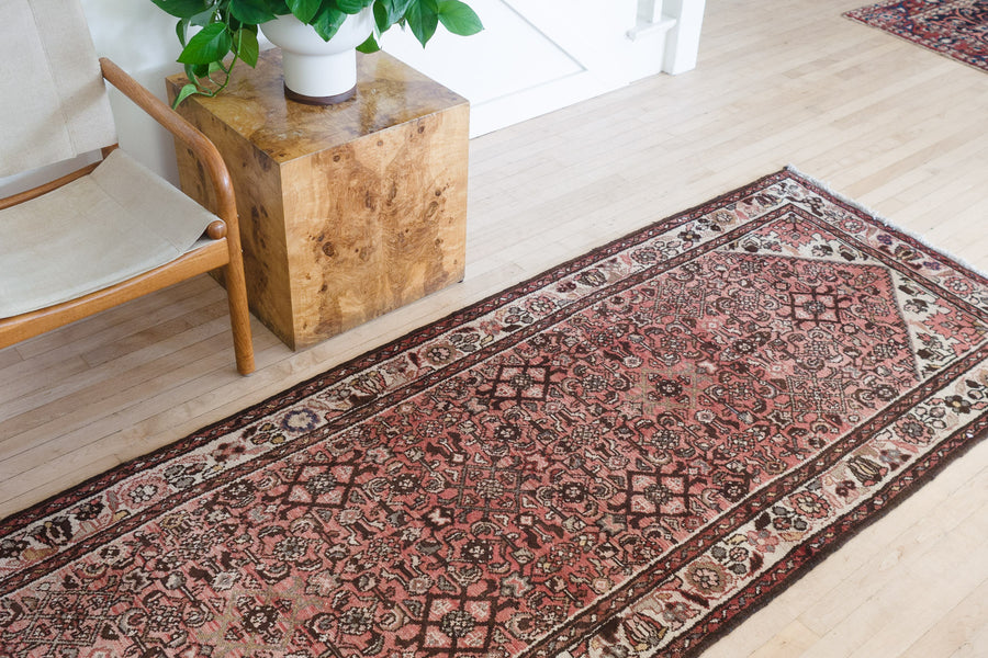 3.5x10.5 Persian Rug | SABER