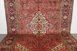 7x11 Persian Rug | AMIR