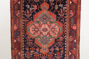 3x10 Persian Rug | BAVAR
