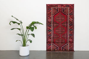 3.5x6 Persian Rug | FARSAD