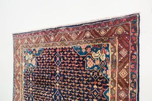 5x9.5 Persian Rug | HAVVA