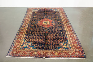 5x9.5 Persian Rug | HAVVA