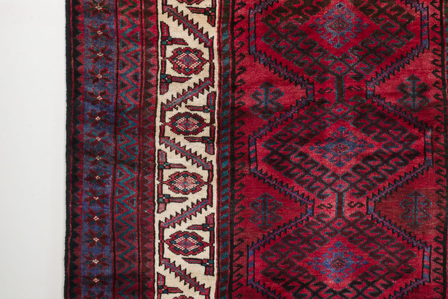 6x10 Persian Roodbar Rug | DARIUS