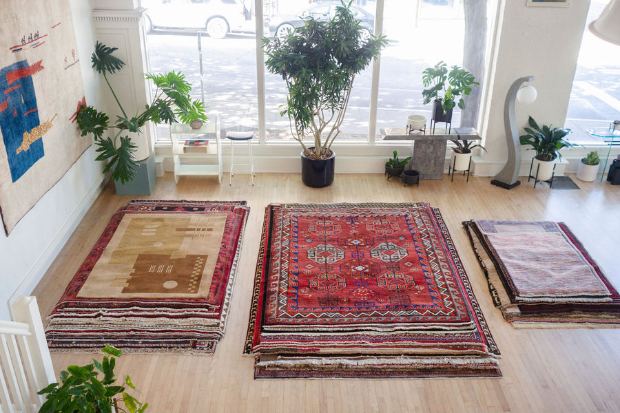 6.5x8 Persian Rug | TOUS