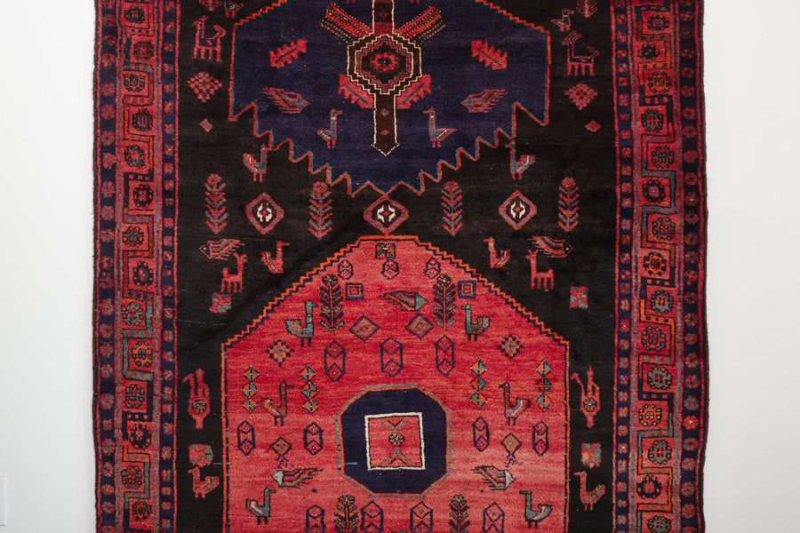 5x10 Persian Zanjan Rug | MEYSAM