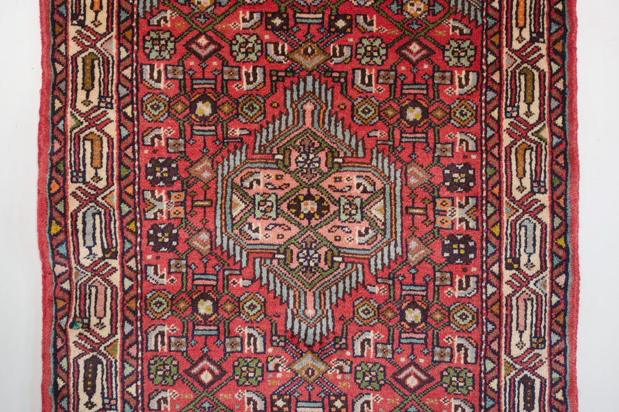 3x10 Persian Roodbar Rug | MAHDI