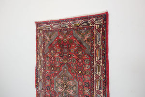 3x10 Persian Roodbar Rug | MAHDI