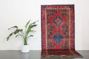 5x10 Persian Zanjan Rug | BAGHII
