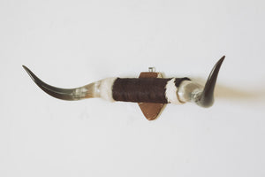 Vintage Cowhide Bullhorns