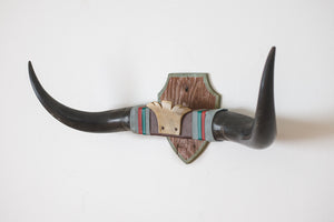 Vintage Longhorns