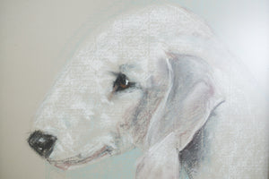 Pastel Dog Portrait
