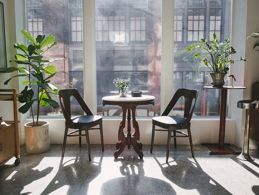 Leather Bentwood Chairs