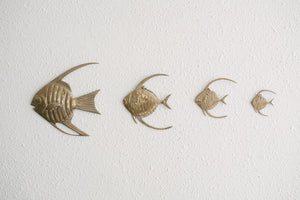 Brass Fish Family
