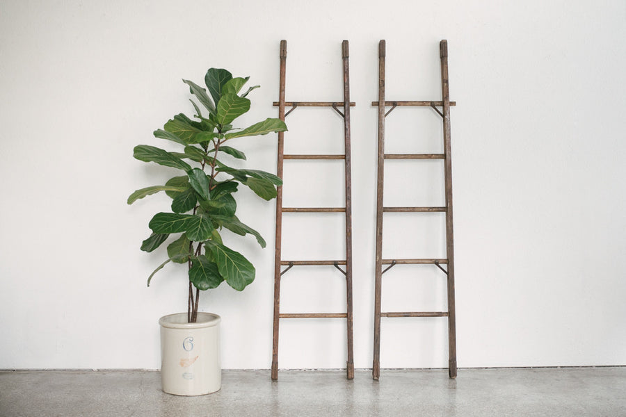 Rustic Extension Ladder