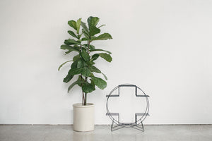 Circle Plant Stand