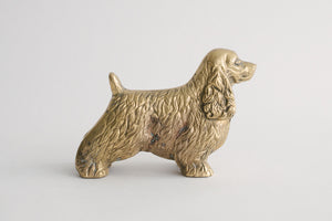 Brass Spaniel