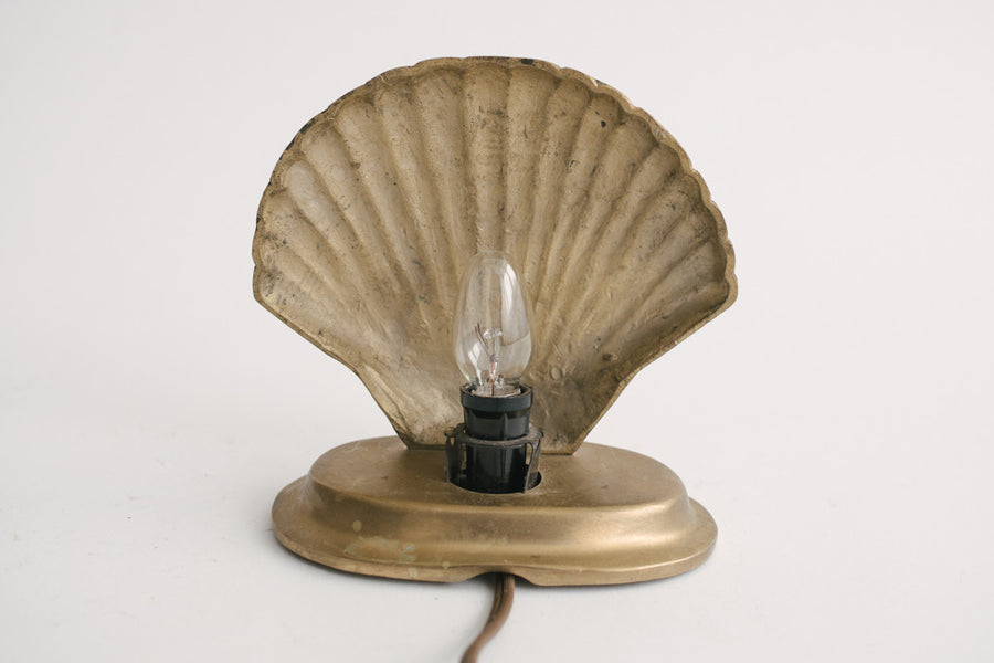 Brass Shell Lamp