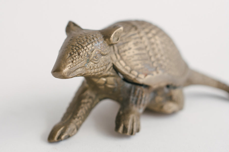 Brass Armadillo