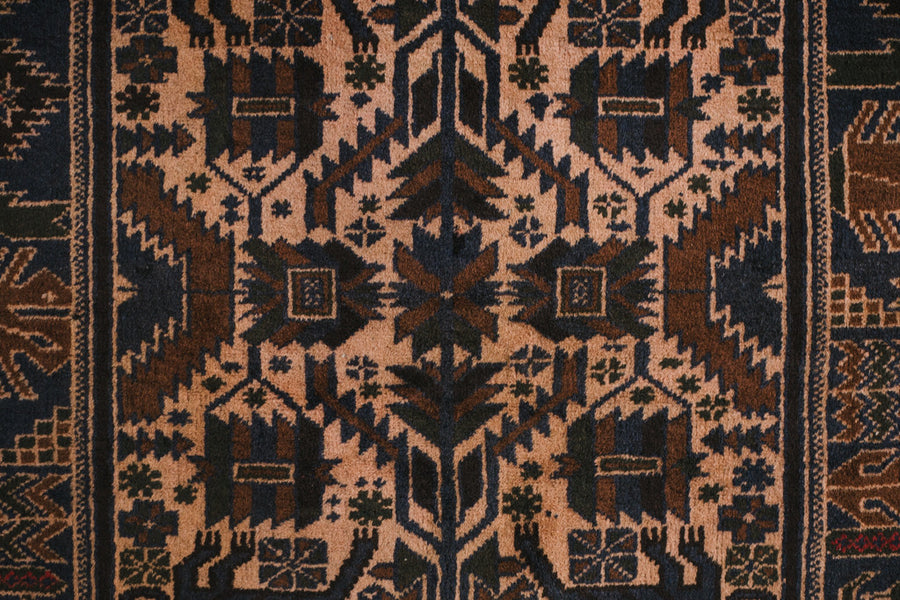 4x7 Taymani Rug