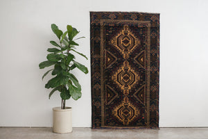 4x6 Taymani Rug