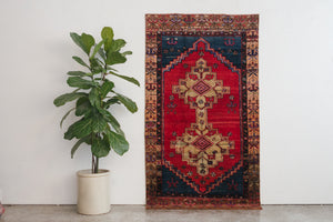 4x7 Turkish Rug