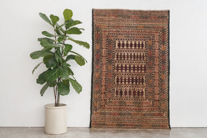 4x6 Shirvan Rug