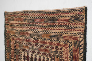 4x6 Shirvan Rug