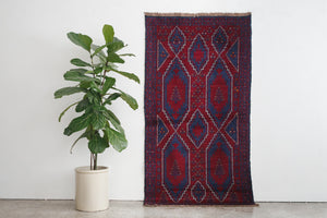 4x7 Bahor Rug