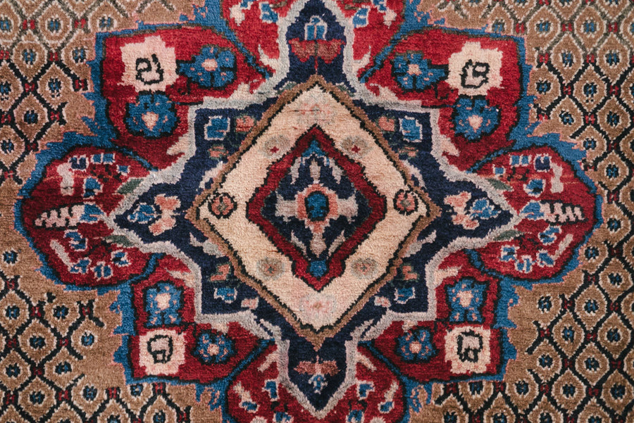 5x9 Persian Rug