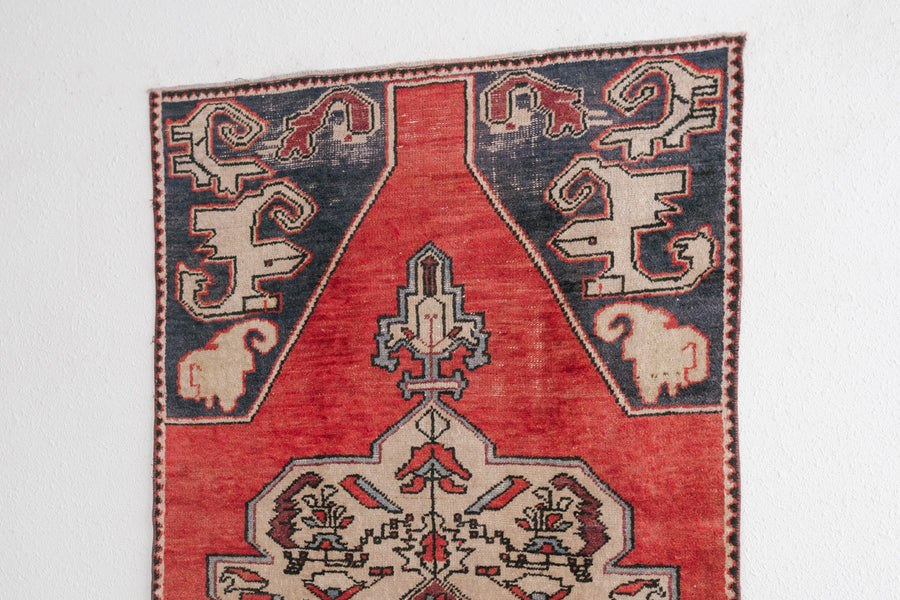 4x8 Turkish Rug | ALTAN