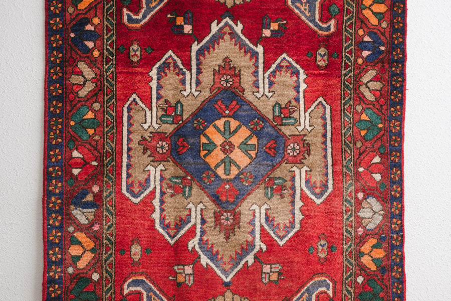 4x7 Persian Rug | ZIBA