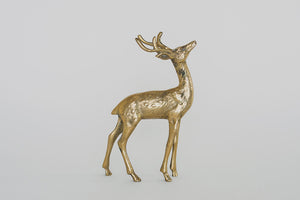 Vintage Brass Buck