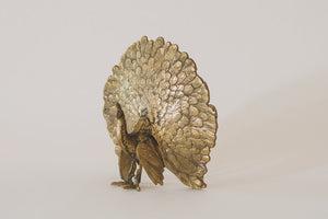 Vintage Brass Peacock