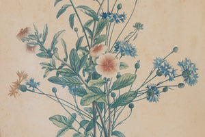 French Botanical Print
