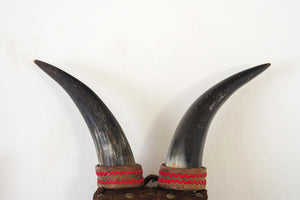 Vintage Bullhorns